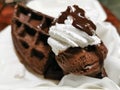 Chocolate waffleÃ¢â¬â¹ withÃ¢â¬â¹ whipcream and chocolate chip icecream Royalty Free Stock Photo